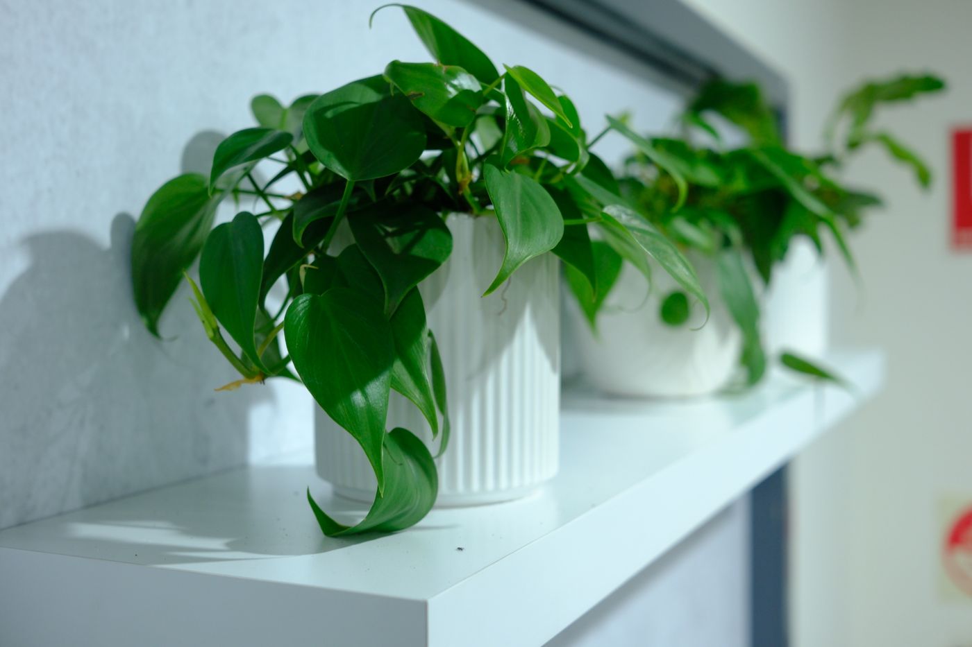 Specialist consulting room at Redlands Speciality Suites